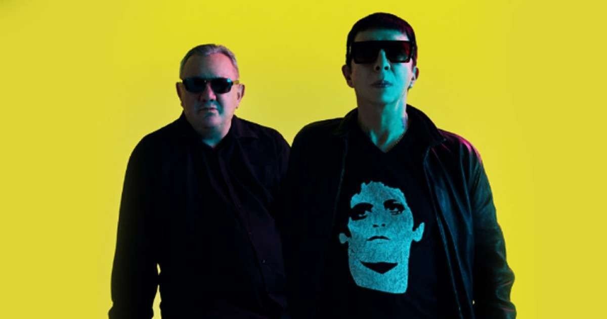 soft_cell-7965843.jpg?