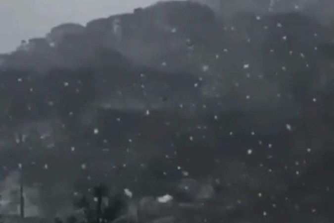  (crédito: Twitter/ reprodução )