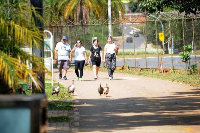 (crédito: Lúcio Bernardo Jr/Agência Brasília) (crédito: Lúcio Bernardo Jr/Agência Brasília)