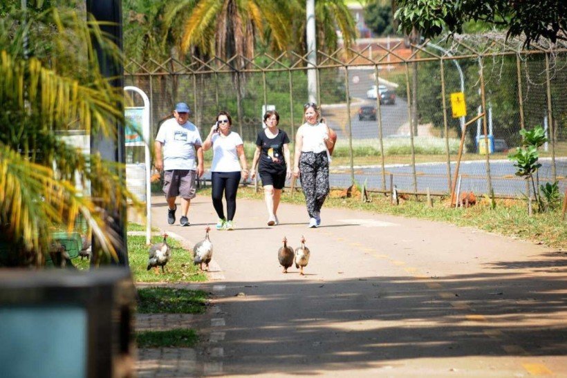 DF tem 28 parques ecológicos abertos à visitação e prática de exercícios