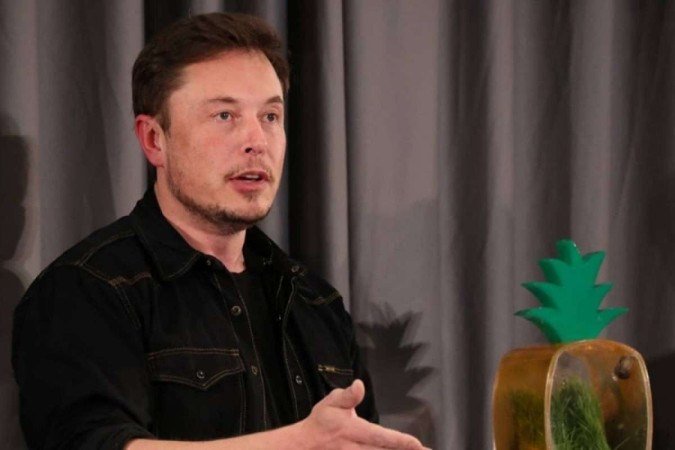 (crédito: Reprodução/Instagram @elonmusk) (crédito: Reprodução/Instagram @elonmusk)