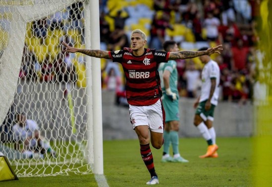  Marcelo Cortes/Flamengo