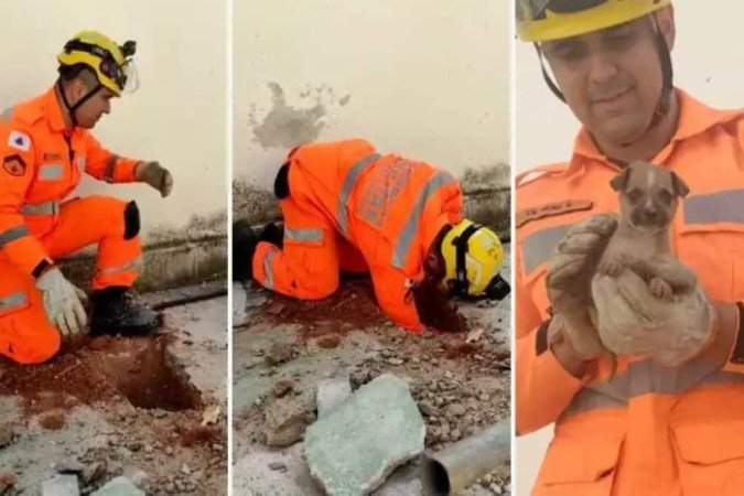 (crédito: Corpo de Bombeiros/Divulgação) (crédito: Corpo de Bombeiros/Divulgação)