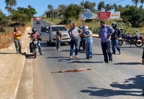 Divulgação/Afonso Ferreira