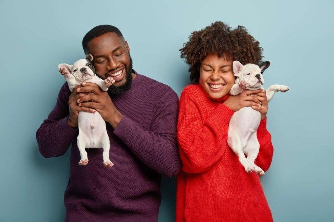 A pesquisa foi publicada na revista 'Animals' em março de 2022, e analisou o vínculo de 42 cachorros e seus tutores - (crédito: Reprodução/Freepik/wayhomestudio) A pesquisa foi publicada na revista 'Animals' em março de 2022, e analisou o vínculo de 42 cachorros e seus tutores - (crédito: Reprodução/Freepik/wayhomestudio)