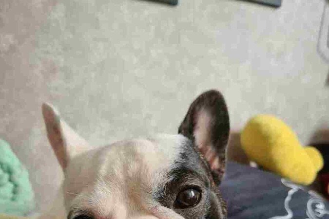 Quando brinca com os amigos, Lola tende a ficar cansada rapidamente 