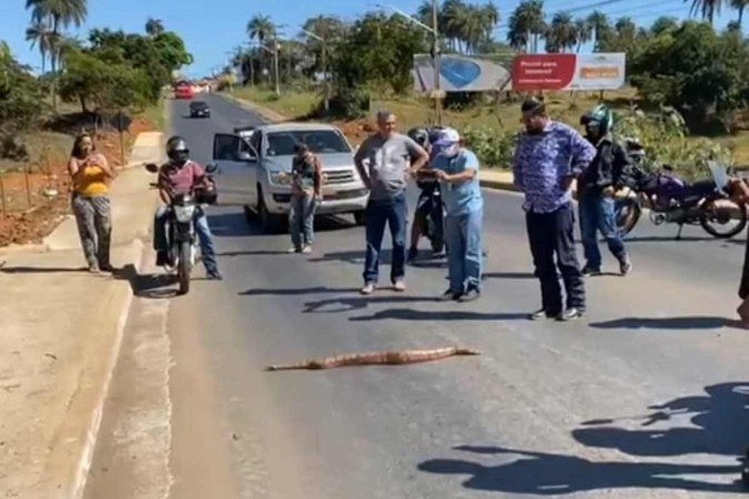 Jiboia virou atração na rodovia e pessoas pararam para registrar a situação - (crédito: Divulgação/Afonso Ferreira) Jiboia virou atração na rodovia e pessoas pararam para registrar a situação - (crédito: Divulgação/Afonso Ferreira)
