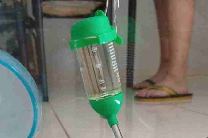 Douglas, o hamster de Ryan Castro: ambiente preparado para o roedor