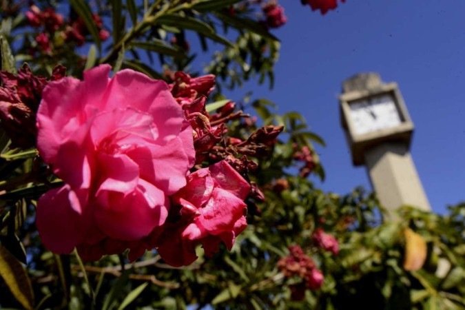  (crédito:  Carlos Vieira/CB/D.A Press)