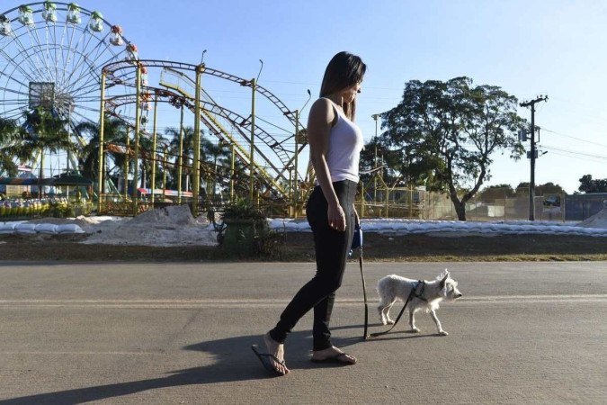  Jane Rocha coloca gelo na água do cachorro quando a temperatura sobe