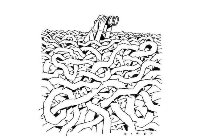  (crédito: Caio Gomez)