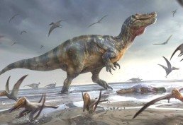 Como era o 'maior dinossauro da Europa', recém-descoberto no Reino Unido