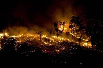 Enquanto a devastação dos biomas cai, os índices de incêndios continuam em níveis preocupantes. Boa parte deles, segundo o Ibama, é criminoso -  (crédito: Daniel Beltra/Greenpeace)