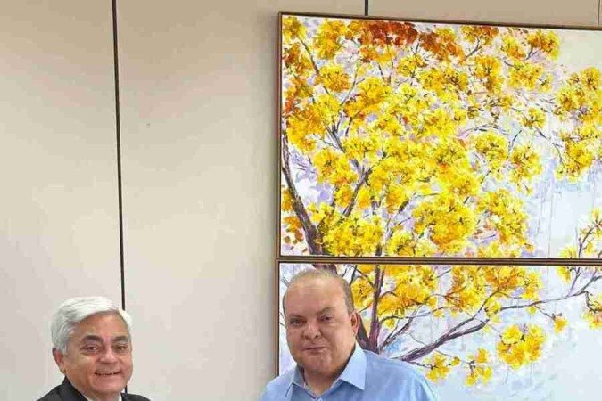  (crédito: Divulgação/TRE-DF)