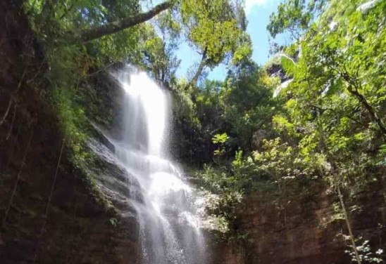 Divulgação/Fazenda Roncador