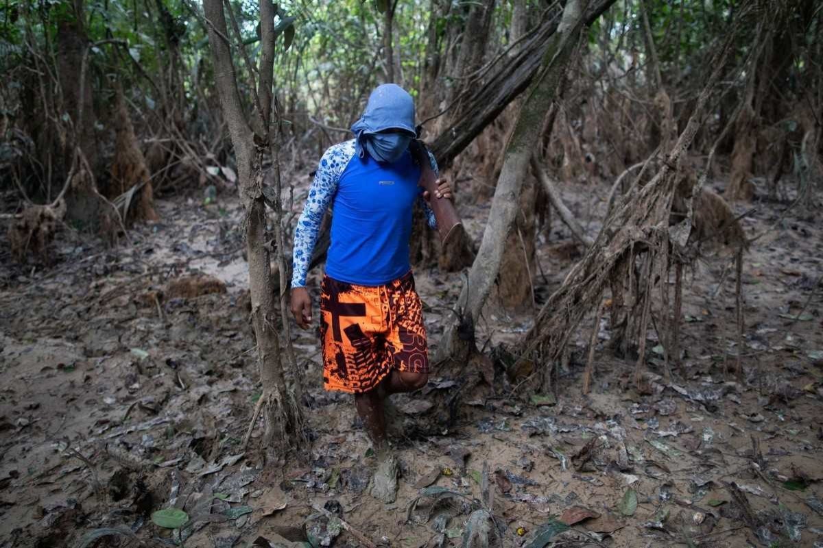 Site Taquiprati - Dom e Bruno: Amazônia, sua linda!