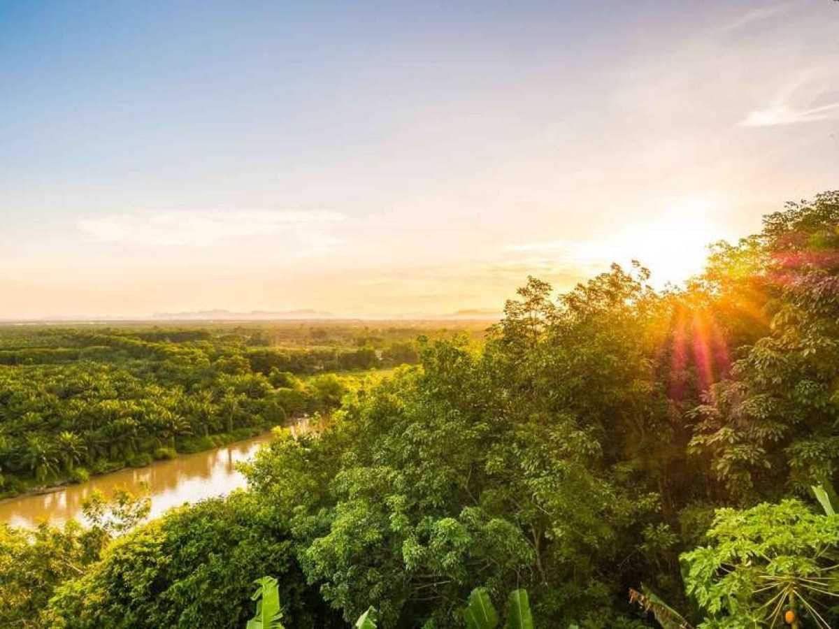 Evento 'Nuit Blanche' levará a Amazônia para o rio Sena