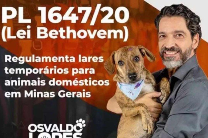 (crédito: Reprodução) (crédito: Reprodução)