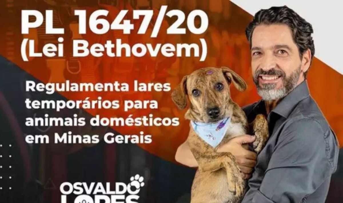 Cãozinho que perdeu olho em pet shop pode virar nome de lei 