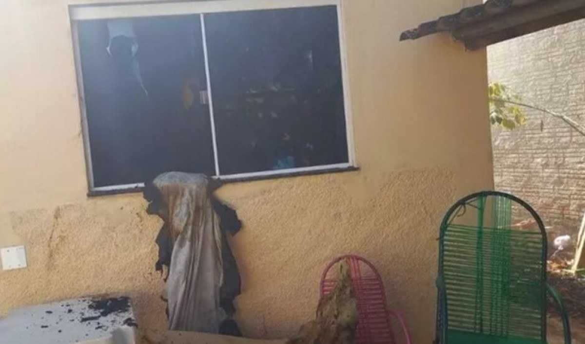 Corpo de Bombeiros resgata cobra mais venenosa do Brasil em residência de  Itaitinga