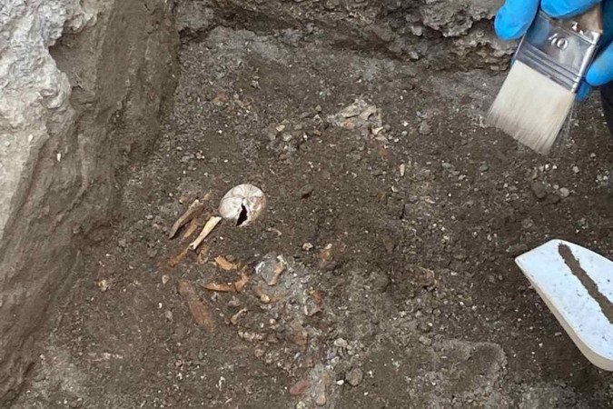  Restos de tartaruga grávida são descobertos nas ruínas de Pompeia