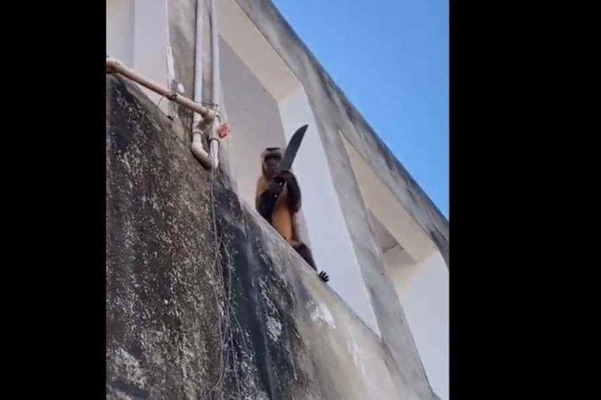 (crédito: Reprodução/ redes sociais/ twitter @gugagux) (crédito: Reprodução/ redes sociais/ twitter @gugagux)