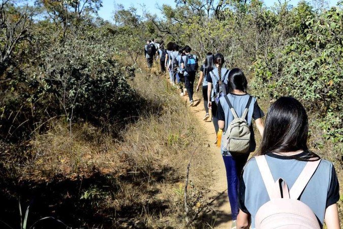  28/06/2022 Crédito: Marcelo Ferreira/CB/D.A Press. Brasil. Brasilia - DF - Parque Jardim Botânico. Projeto Cerrado Vivo, Alunos do  Centro de Ensino Médio deTaguatinga Norte participam do Projeto Cerrado Vivo com a professora Edijane Amaral.