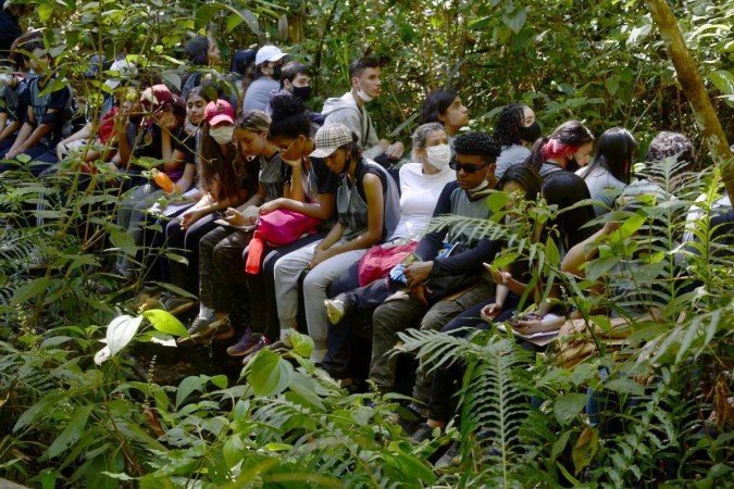  28/06/2022 Crédito: Marcelo Ferreira/CB/D.A Press. Brasil. Brasilia - DF - Parque Jardim Botânico. Projeto Cerrado Vivo, Alunos do  Centro de Ensino Médio deTaguatinga Norte participam do Projeto Cerrado Vivo com a professora Edijane Amaral.