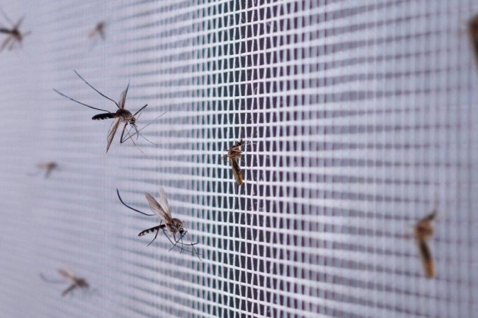(crédito: Getty Images) (crédito: Getty Images)