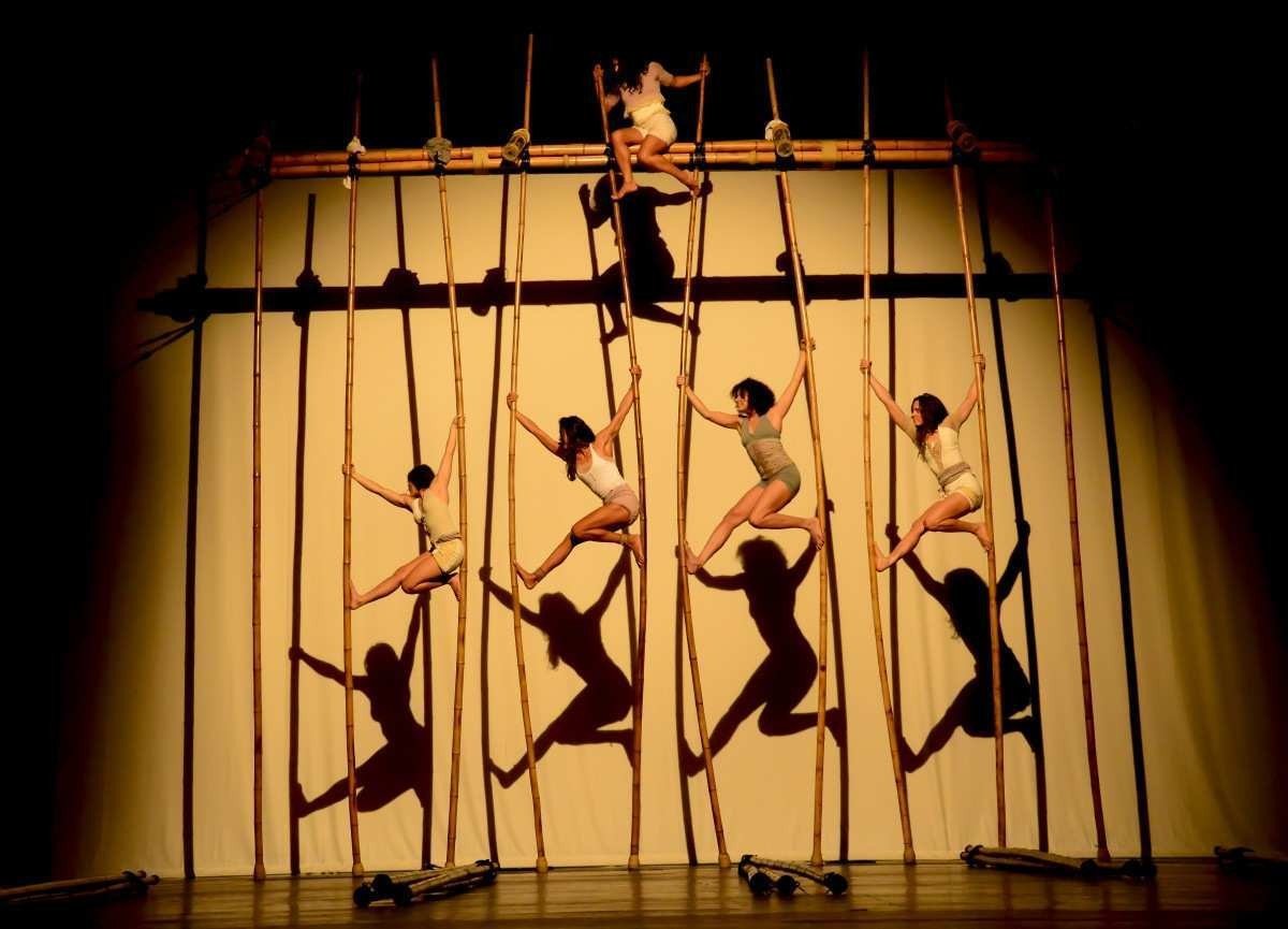 Além de estar em alta na decoração, o bambu pode ser um aliado da saúde 