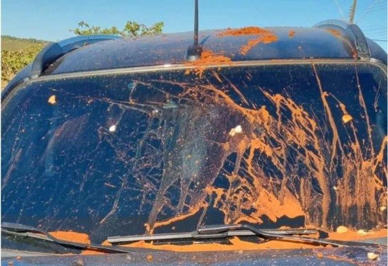 Reprodução/Twitter