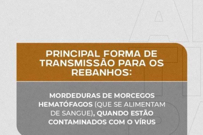Seagri convoca produtores rurais a vacinarem o rebanho contra doença da raiva