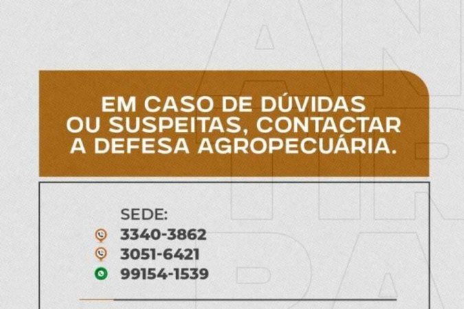 Seagri convoca produtores rurais a vacinarem o rebanho contra doença da raiva