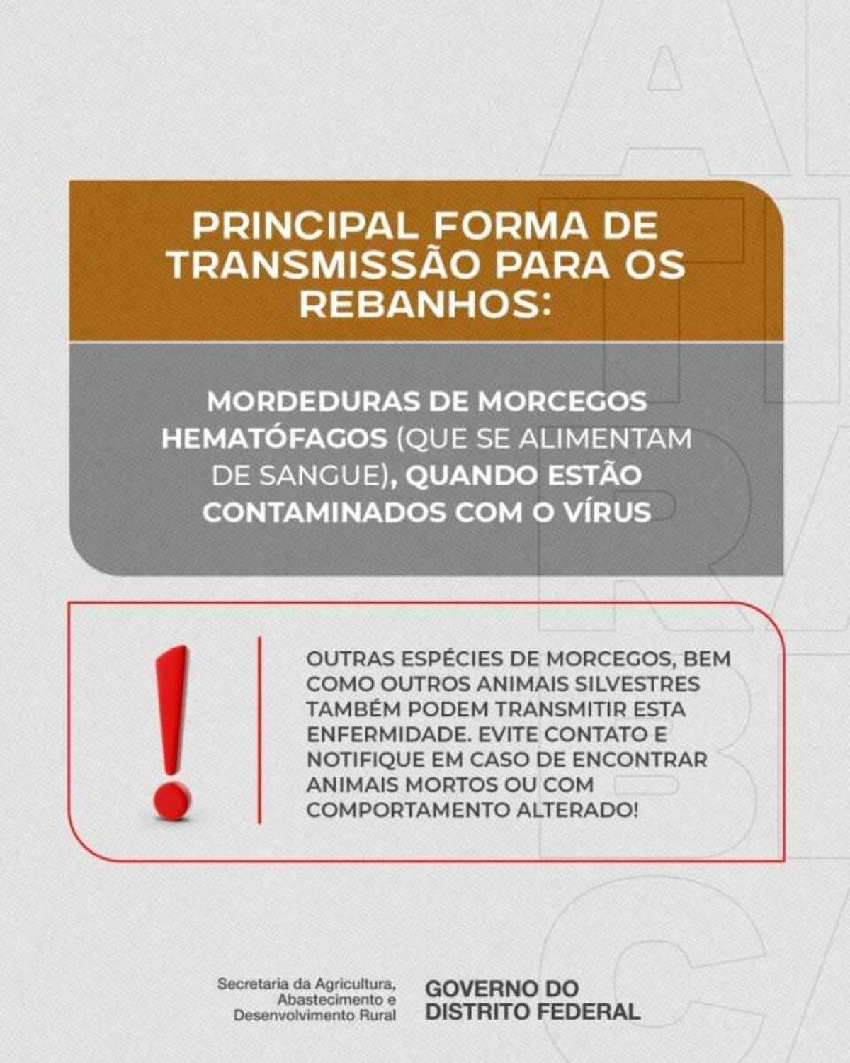 Seagri convoca produtores rurais a vacinarem o rebanho contra doença da raiva