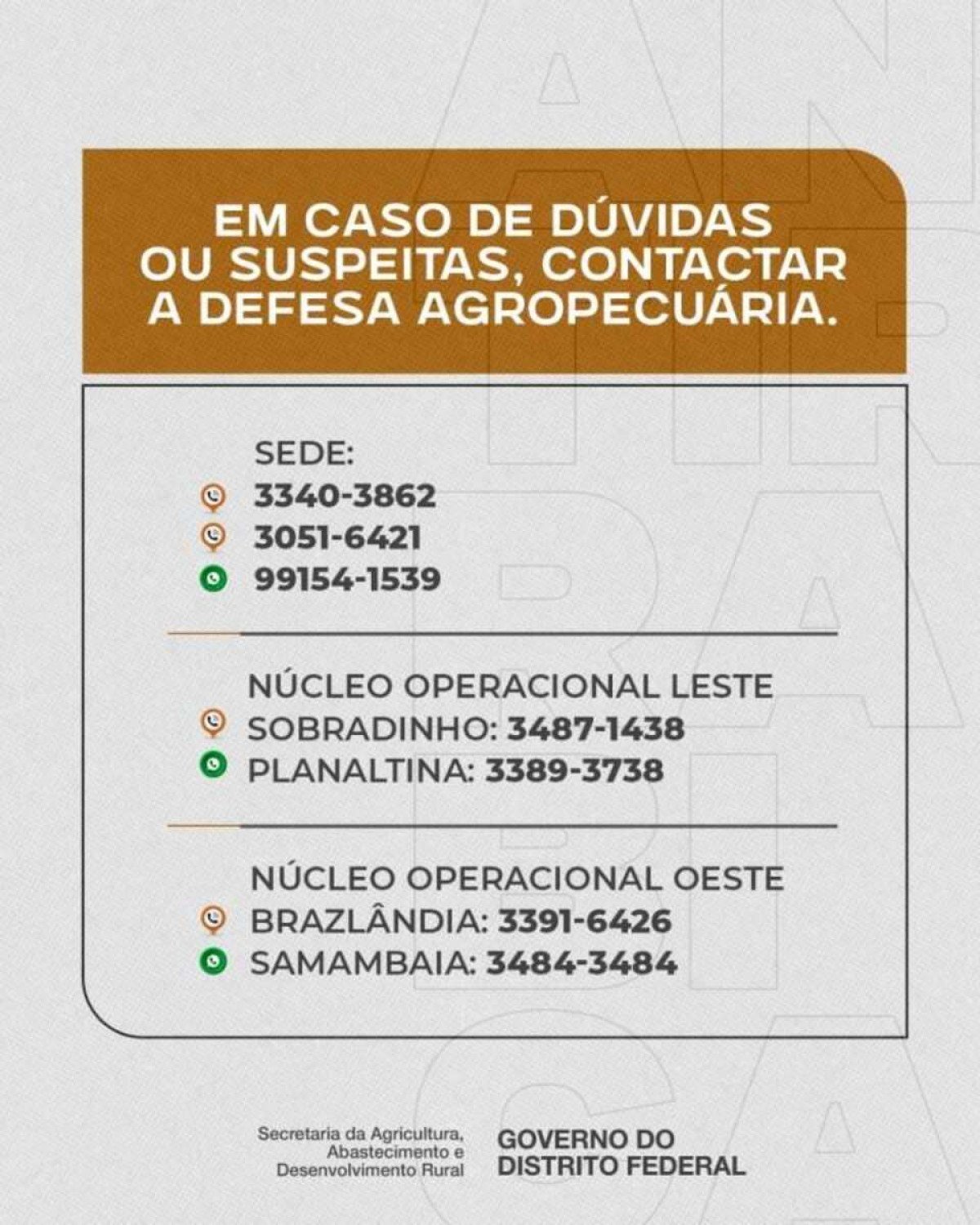Seagri convoca produtores rurais a vacinarem o rebanho contra doença da raiva