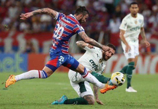 Cesar Greco/Palmeiras