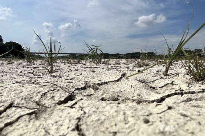  (crédito: Bruno Boelpaep/BBC)