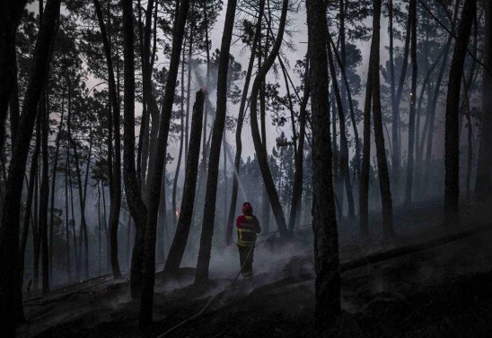 PATRICIA DE MELO MOREIRA / AFP