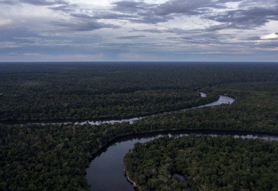 MAURO PIMENTEL / AFP