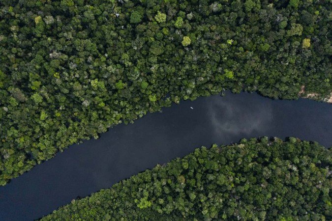 Uma visão de drone do rio Manicore, nas profundezas da floresta amazônica, estado do Amazonas - (crédito: MAURO PIMENTEL / AFP) Uma visão de drone do rio Manicore, nas profundezas da floresta amazônica, estado do Amazonas - (crédito: MAURO PIMENTEL / AFP)