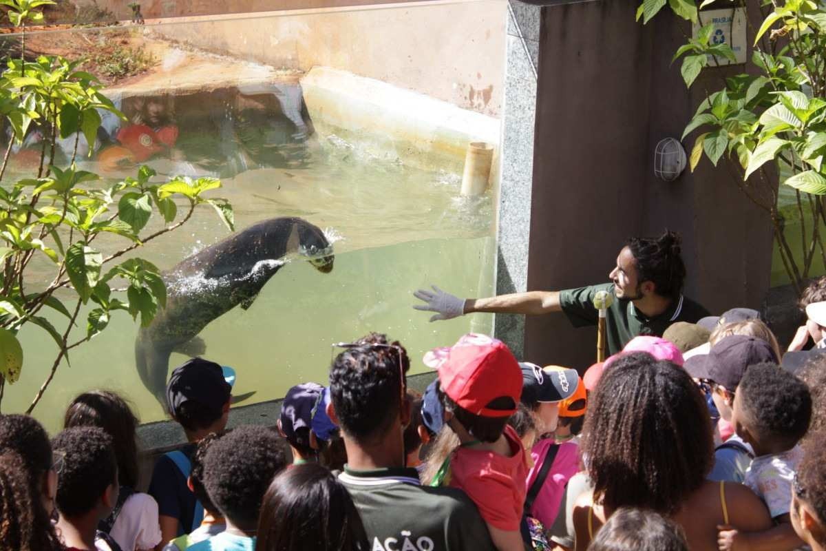 Zoológico oferece atividades para crianças na Colônia de Feras