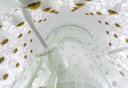 LUX-ZEPLIN (LZ), laboratório localizado a 1,5 km de profundidade em uma mina de ouro abandonada na cidade de Lead, nos EUA -  (crédito: LZ/SURF)