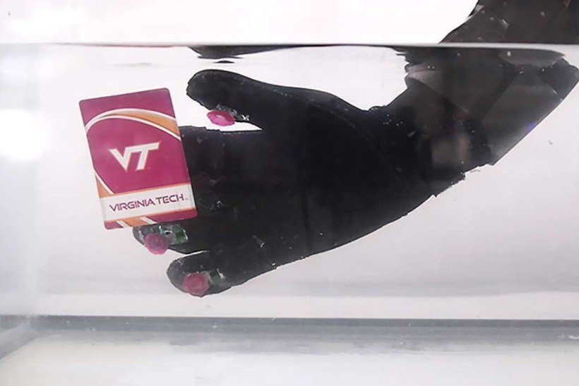 A Octa-glove tem ventosas com hastes de borracha e sensores ópticos de proximidade: testes com resultados promissores A Octa-glove tem ventosas com hastes de borracha e sensores ópticos de proximidade: testes com resultados promissores