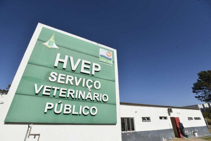 Unidade oferece, diariamente, 100 vagas, incluindo 20 emergenciais. Hospital pretende aumentar para 150 - (crédito: Minervino Júnior/CB/D.A.Press) Unidade oferece, diariamente, 100 vagas, incluindo 20 emergenciais. Hospital pretende aumentar para 150 - (crédito: Minervino Júnior/CB/D.A.Press)