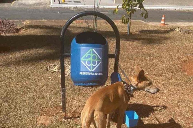  (crédito: Material cedido ao Correio)