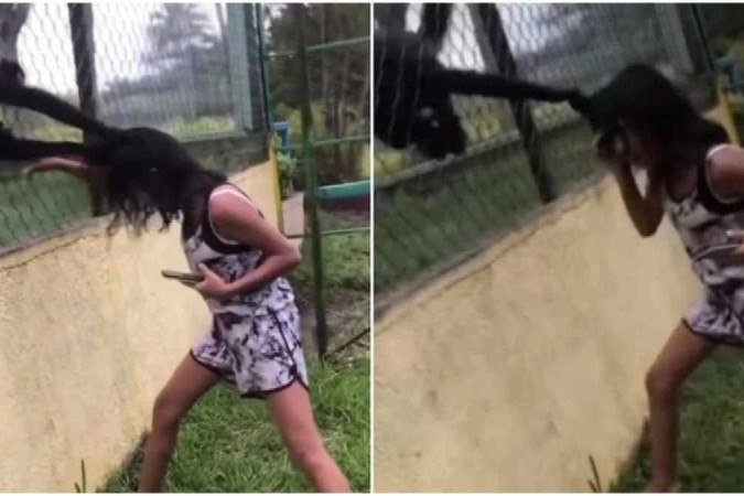 Um vídeo que viralizou nas redes sociais nesta semana mostra a garota segurando um celular e batendo na gaiola onde o macaco estava - (crédito: Reprodução/Tiktok @ greciadlg29) Um vídeo que viralizou nas redes sociais nesta semana mostra a garota segurando um celular e batendo na gaiola onde o macaco estava - (crédito: Reprodução/Tiktok @ greciadlg29)