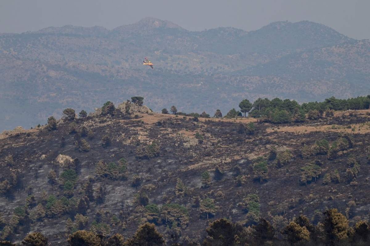 Superfície queimada pelos incêndios florestais na UE superou a de 2021