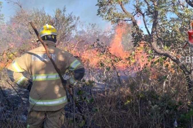 Um incêndio de médias proporções atingiu o parque Burle Marx, no Setor Noroeste, na segunda-feira (18/7) - (crédito: Corpo de Bombeiros do DF) Um incêndio de médias proporções atingiu o parque Burle Marx, no Setor Noroeste, na segunda-feira (18/7) - (crédito: Corpo de Bombeiros do DF)