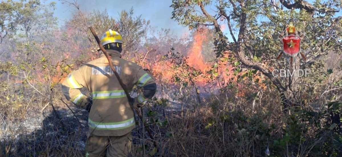 Aumento no número de incêndios em 2022 deixa Brasília em alerta