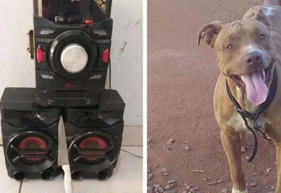 GMU/Divulgação